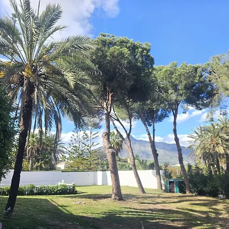 بيت ضيافة Palacio ماربيا